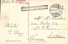 CPA Chillon Et La Dent Du Midi Cygnes