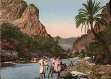 CPA La Porte Du Desert Ane Mule