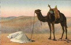 CPA La Priere Au Desert Chameau