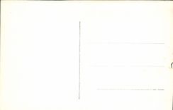 CPA Granada Estanque Del Cipres De La Sultana