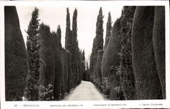 CPA Granada Entrada Del Generalife 