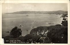 VINTAGE POSTCARD Juan Pines the Pine forest and the Juan Gulf