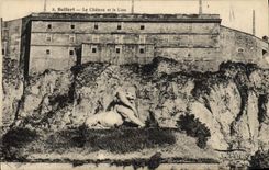 CPA Belfort Le Chateau et le Lion