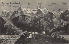 CPA Berner Oberland Femme Vaches