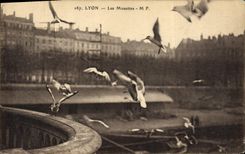CPA Lyon Les Mouettes