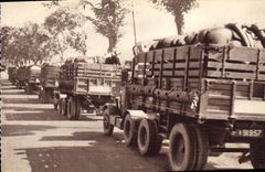 Tren de la POSTAL de la VENDIMIA del transporte militar de los equipos de caballos