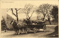 CPA Hochzeitsgaste Voiture Caleche Cheval Folklore 