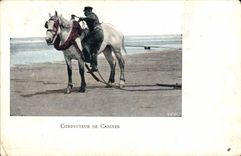 VINTAGE POSTCARD Conducting Of Cabins Horse