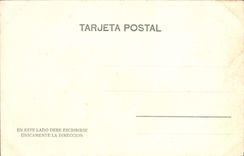 VINTAGE POSTCARD Trabajos de Campo Coach Spain Oxen