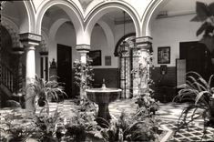 VINTAGE POSTCARD Sevilla Patio tipico