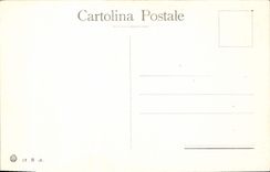 VINTAGE POSTCARD Palme LED Insulated Veined Lago Maggiore