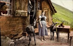 VINTAGE POSTCARD Pianalo Brienz Rothornbahn Goats Girl Folklore
