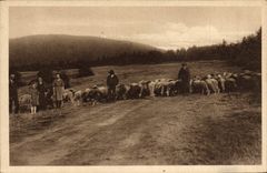 Niño de las ovejas del pastor del Na Radhosti de la pieza de la POSTAL de la VENDIMIA