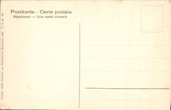 VINTAGE POSTCARD Richstatte