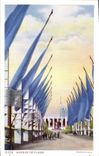 CPA Avenue Of Flags