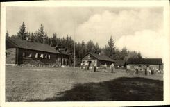 POSTAL Trhova Kamenice de la VENDIMIA