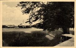 POSTAL Nechanice de la VENDIMIA