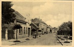 POSTAL Borohradek de la VENDIMIA