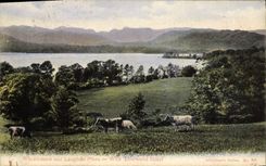 VINTAGE POSTCARD Windermere And Langdude Pikes With Lowwood Hotel Cows