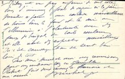 CPA Triberger Wasserfall