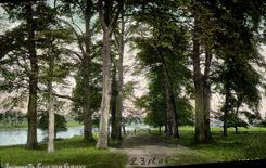 VINTAGE POSTCARD Fan-in To Clifton Grove Nottignham