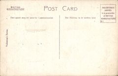 Céspedes de Brunswick de la POSTAL de la VENDIMIA levantados