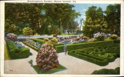 VINTAGE POSTCARD Washington' S Garden Mount Vernon Goes