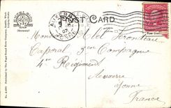 Cedro de la escena una de la POSTAL de la VENDIMIA para clavar famoso por su colada pura de Seattle de los tocadores