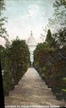 CPA Washington D C Avenue Of Palms Botanical Gardens