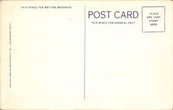 CPA Ocotillo In Bloom On The Desert