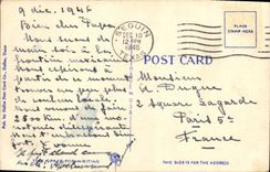 VINTAGE POSTCARD Blossoms Of The Opuntia Cactus has Variety off the Prickly Pear