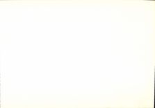 La POSTAL ISCED de gran tamaño de la VENDIMIA del castillo feudal de Carcasona funda por la cuenta Rogelio 1ros 28 * 23 cm