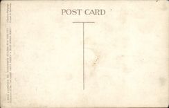 CPA Woolworth Building New York