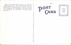 VINTAGE POSTCARD Scene in Middleton Gardens Charleston C M