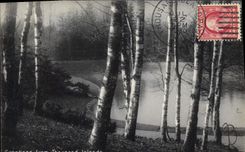 CPA Greetings from Thousand Islands