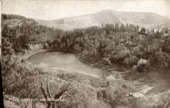 VINTAGE POSTCARD Lec Off Mutton Lake MT Gambier