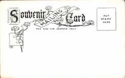 VINTAGE POSTCARD Lost Chanel Beaver