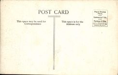 VINTAGE POSTCARD Swannanoa View Towarp Asheville Nc