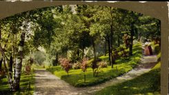 VINTAGE POSTCARD shady lane has