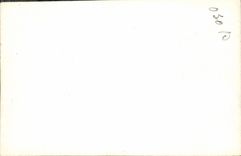 Photo Vineyards Folklore