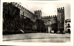 CPM Sevilla Reales Alcazares Pureta Del Leon 