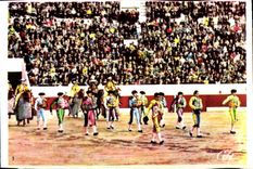 MODERN CARD Bullfight Bull