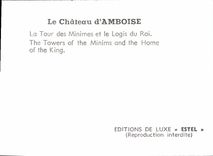 POSTAL MODERNA el castillo D Amboise la torre de minúsculo y el hogar del rey