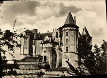CPM Saumur L'Entree du Chateau