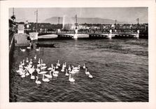 MODERN CARD Geneva the Lake Leman and the water Jet