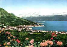 MODERN CARD Salo I tre Golfi