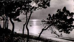 MODERN CARD Arcachon Dimensions Money Sunset