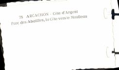 MODERN CARD Arcachon Dimensions Money Regattas Boats