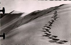 MODERN CARD Basin of Aracachon Pilat beach dunes