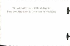 CPM Arcachon Parc des Abatilles la cote vers le Moulleau